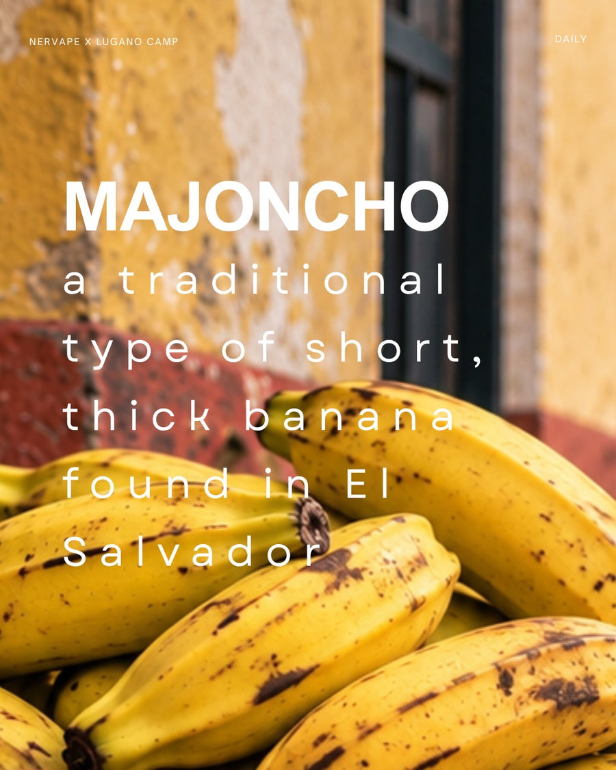MAJONCHO